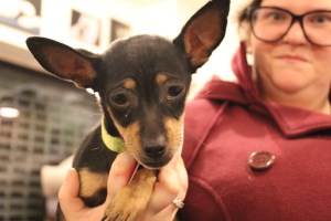 test_2F150469c1-4d41-4c3c-b129-2ec206777e92_2Ftest_image