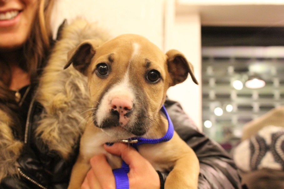 test_2Fca0d96b9-b9cf-4ee6-8bb6-95fa8f5ca4db_2Ftest_image